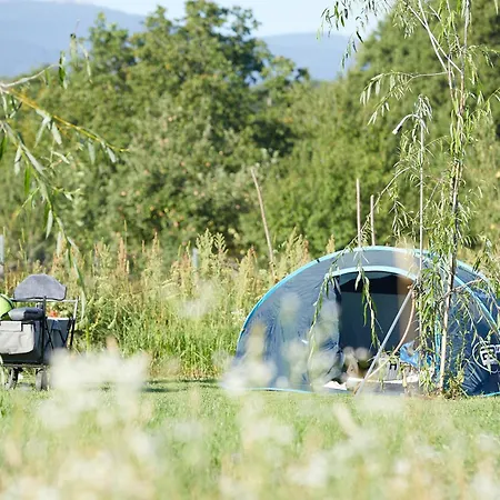 Campsite Baleia Pui