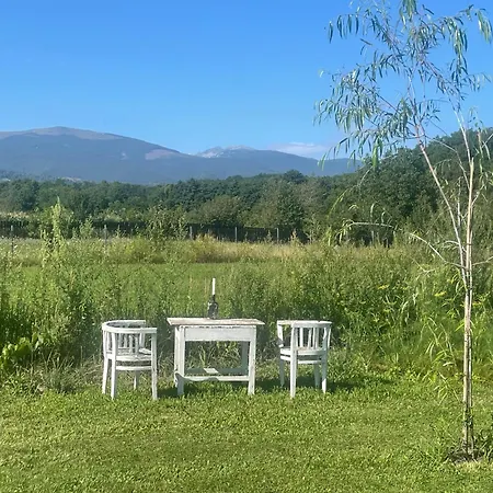 Campsite Baleia Pui
